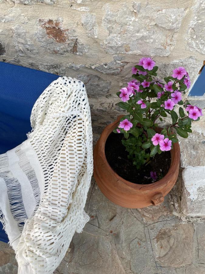 Marina Castellana Studios II Chalki Town Eksteriør bilde